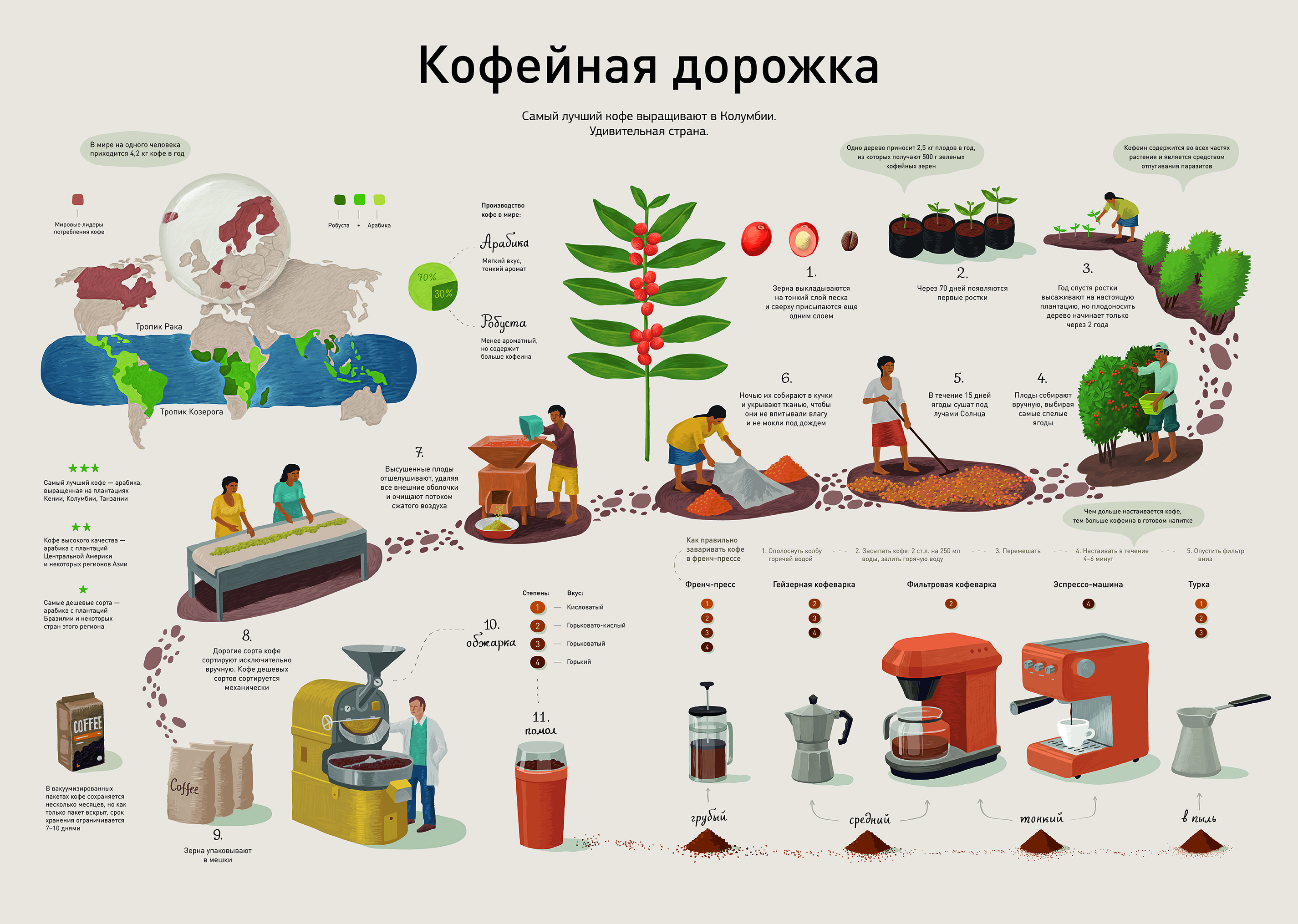 Инфографика актуальность проекта