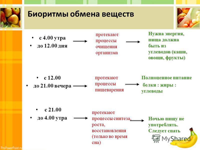 Питание в сутки. Энергия пищи. Продолжительность процесса пищеварения у здорового. Процесс приема пищи. Питание по биоритмам человека меню.