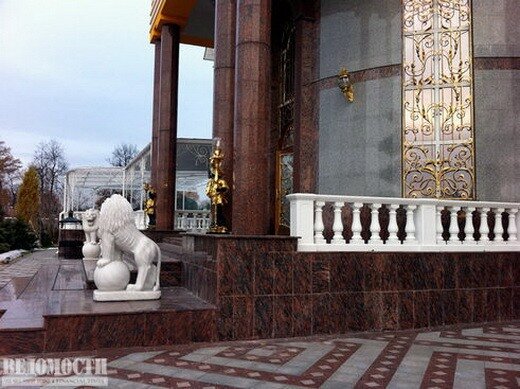 Брынцалов Владимир дом в Салтыковке