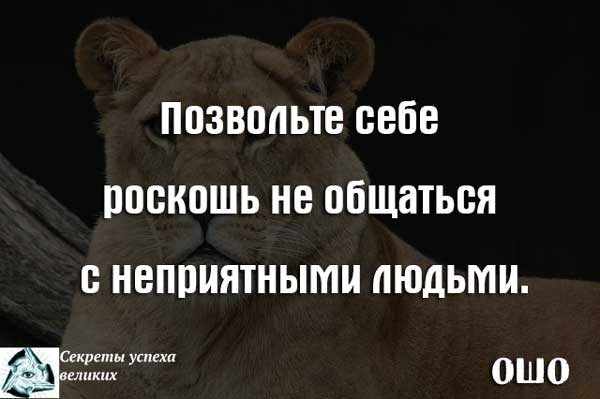 Бывший прекратил общение. Если человек не хочет общаться. Я не общаюсь с людьми которые мне неприятны. Не общаться с неприятными людьми. Не хочу общаться с людьми.