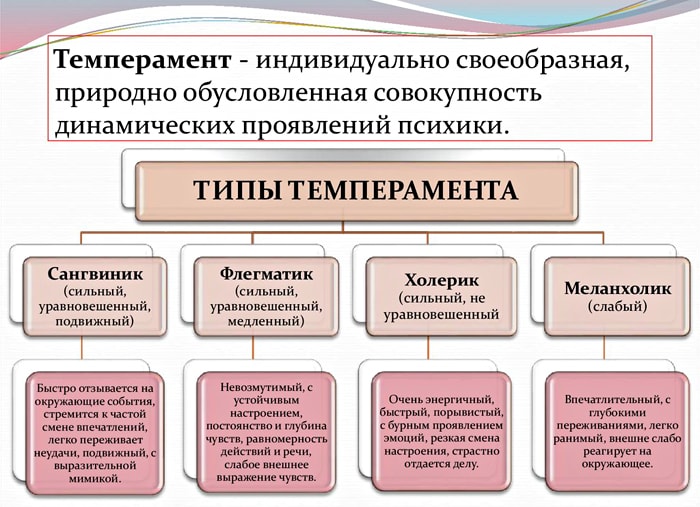Типы темперамента краткая характеристика таблица Типы темперамента