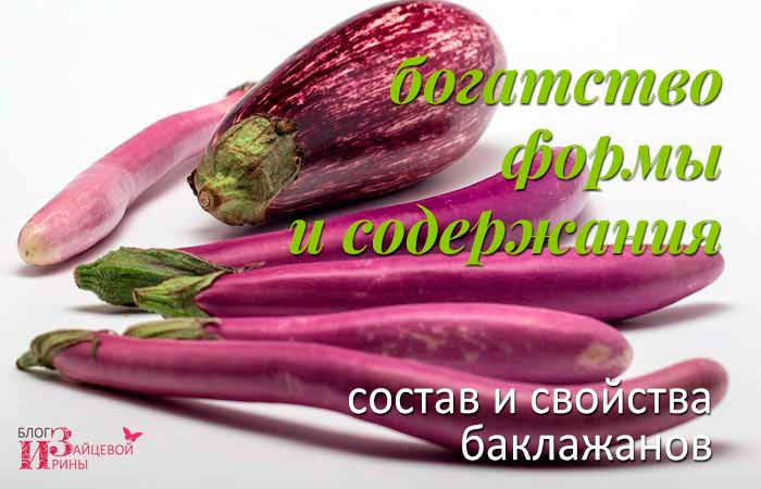 Полезные свойства баклажана. Баклажан польза. Баклажан польза для здоровья. Чем полезен баклажан для организма.