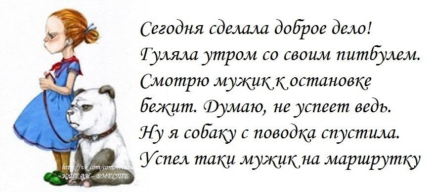 Утренний анекдот для поднятия настроения в картинках