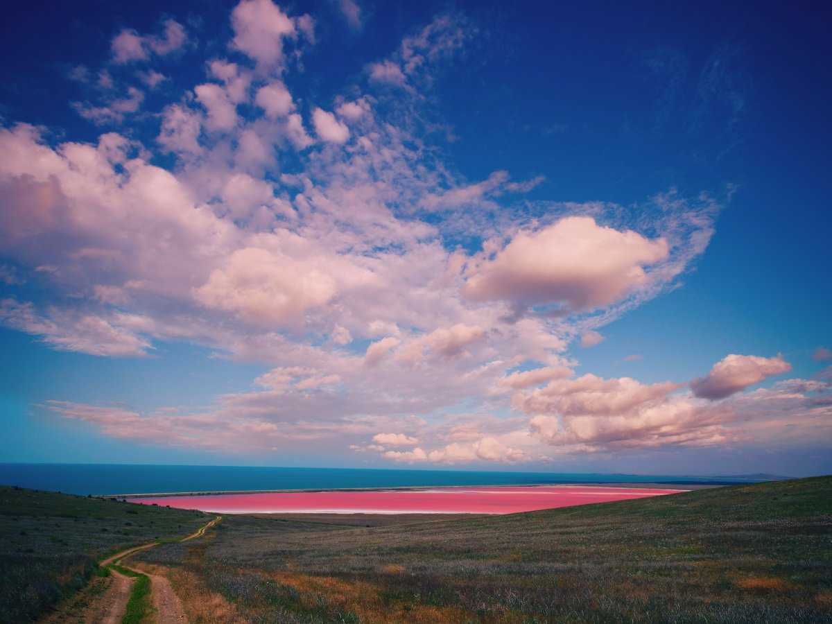 Розовое озеро Спенсер