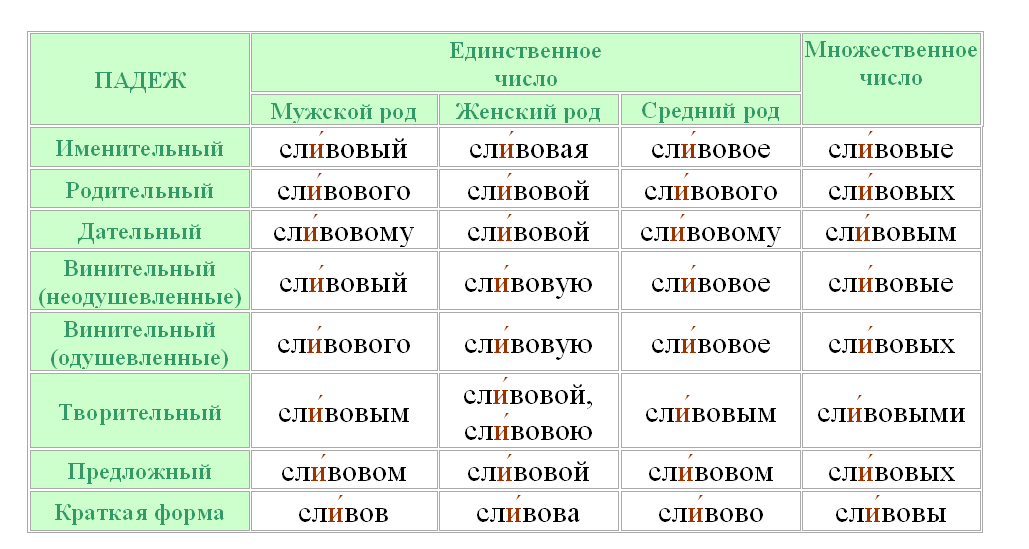 Ударение в слове «сливовый» по правилам русского языка