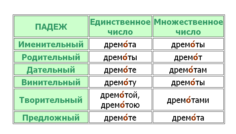 Ударение в слове дремота