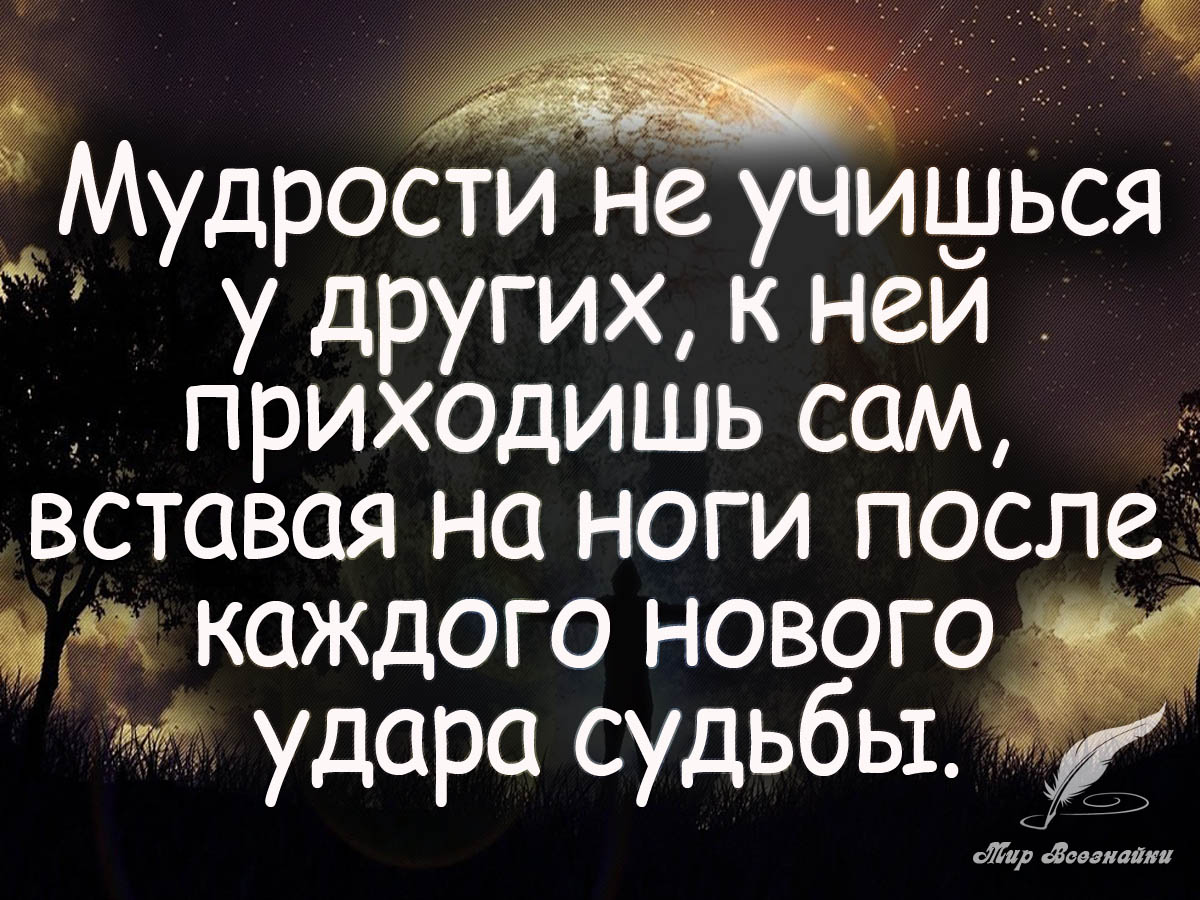 Что такое мудрость. Мудрые цитаты. Мудрые высказывания о жизни. Мудрость цитаты. Цитаты и афоризмы Мудрые.