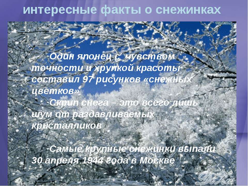 Факты о зиме. Факты о снежинках. Интересная информация о снежинках. Интересное о зиме. Факты о снеге и снежинках.