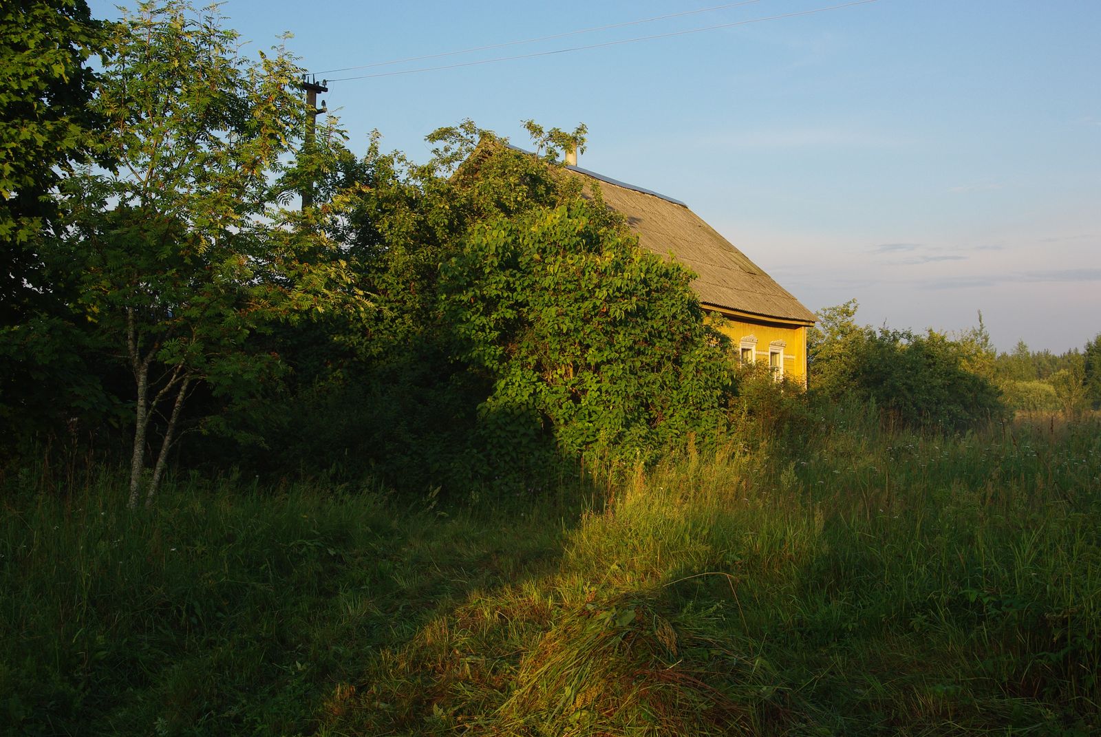 Деревня русско новгородская область фото