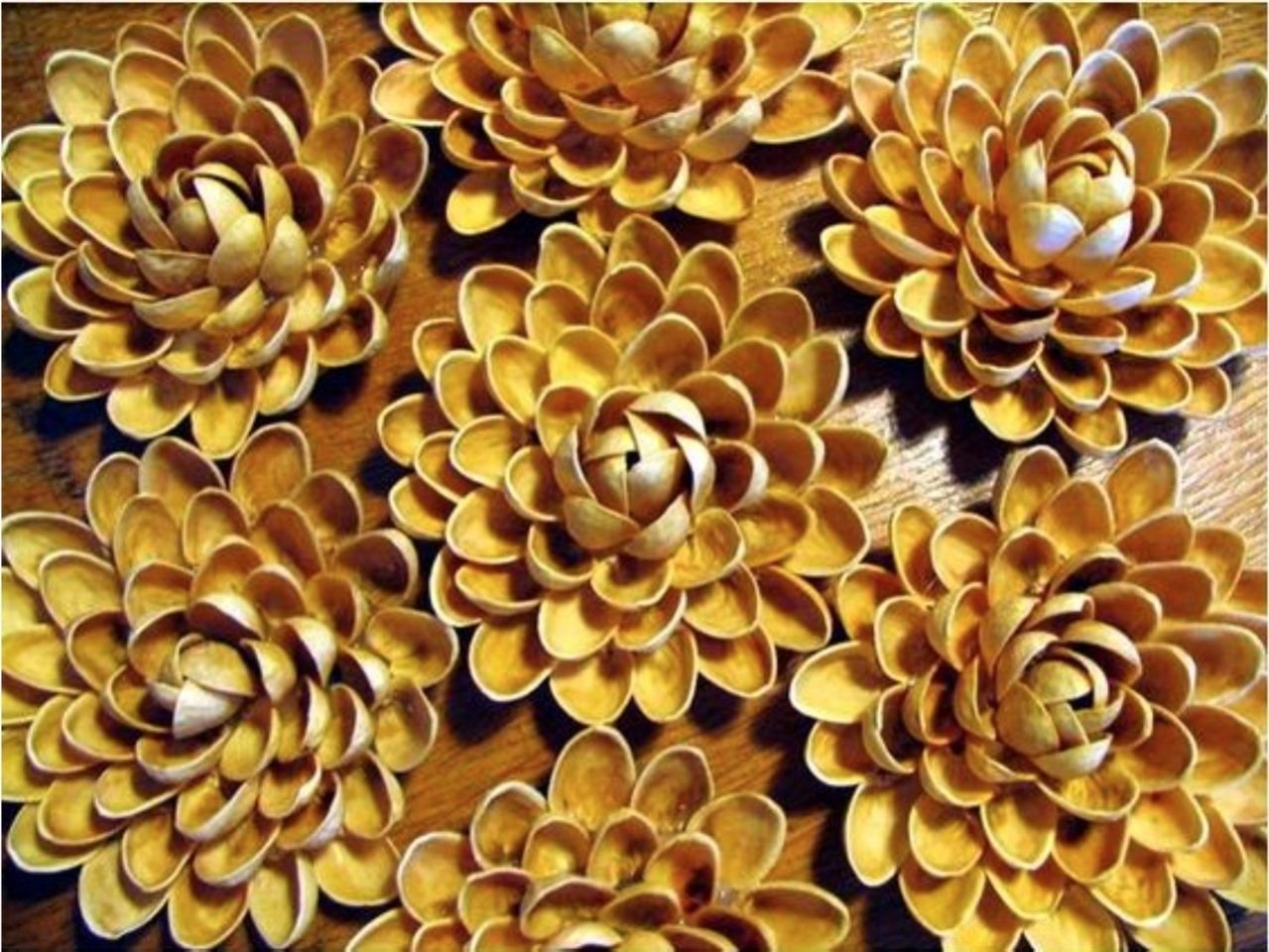 Цветы Из Фисташковой Скорлупы