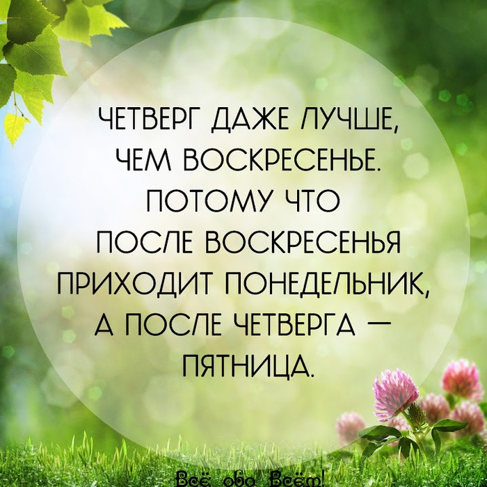 Доброго дня афоризмы